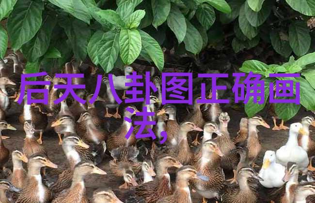 颜色表情与文字智能扫描技术揭开情感之谜