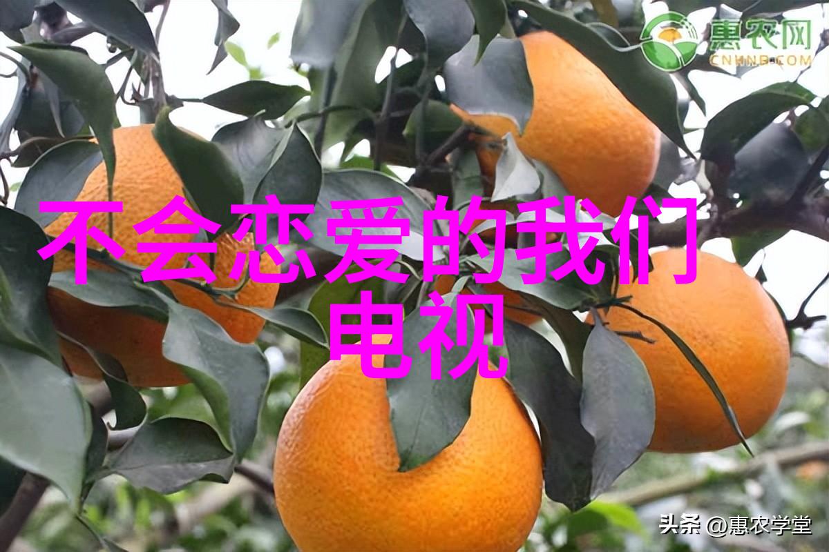 使徒行者2 电视剧我是江湖的游侠追逐光影与使命