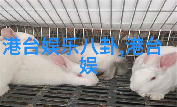 人类对自然界奇观的追求与敬畏从史诗到童话再到现实生活中的人类文化表现形式和信仰系统