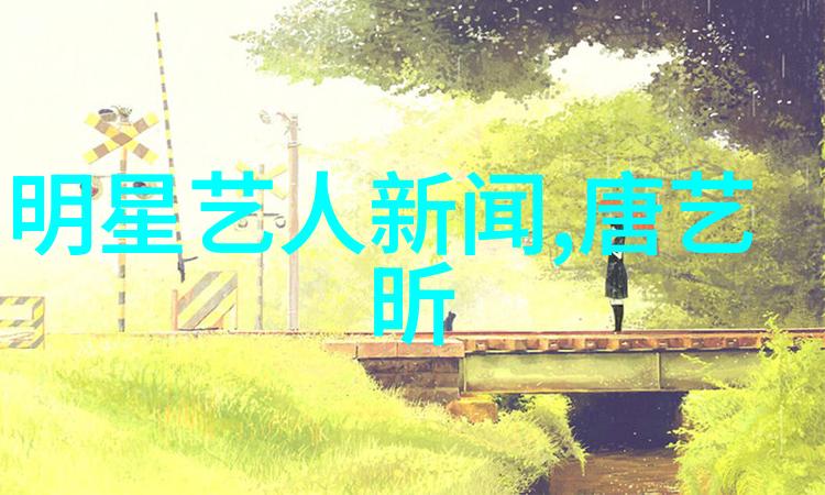 皇家盛宴绘声绘影的夜晚舞步