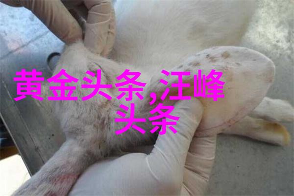世界奇闻怪事-惊世迷踪全球奇异事件汇编