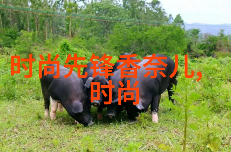 算命真的准吗亲自去一趟算命店探秘真相