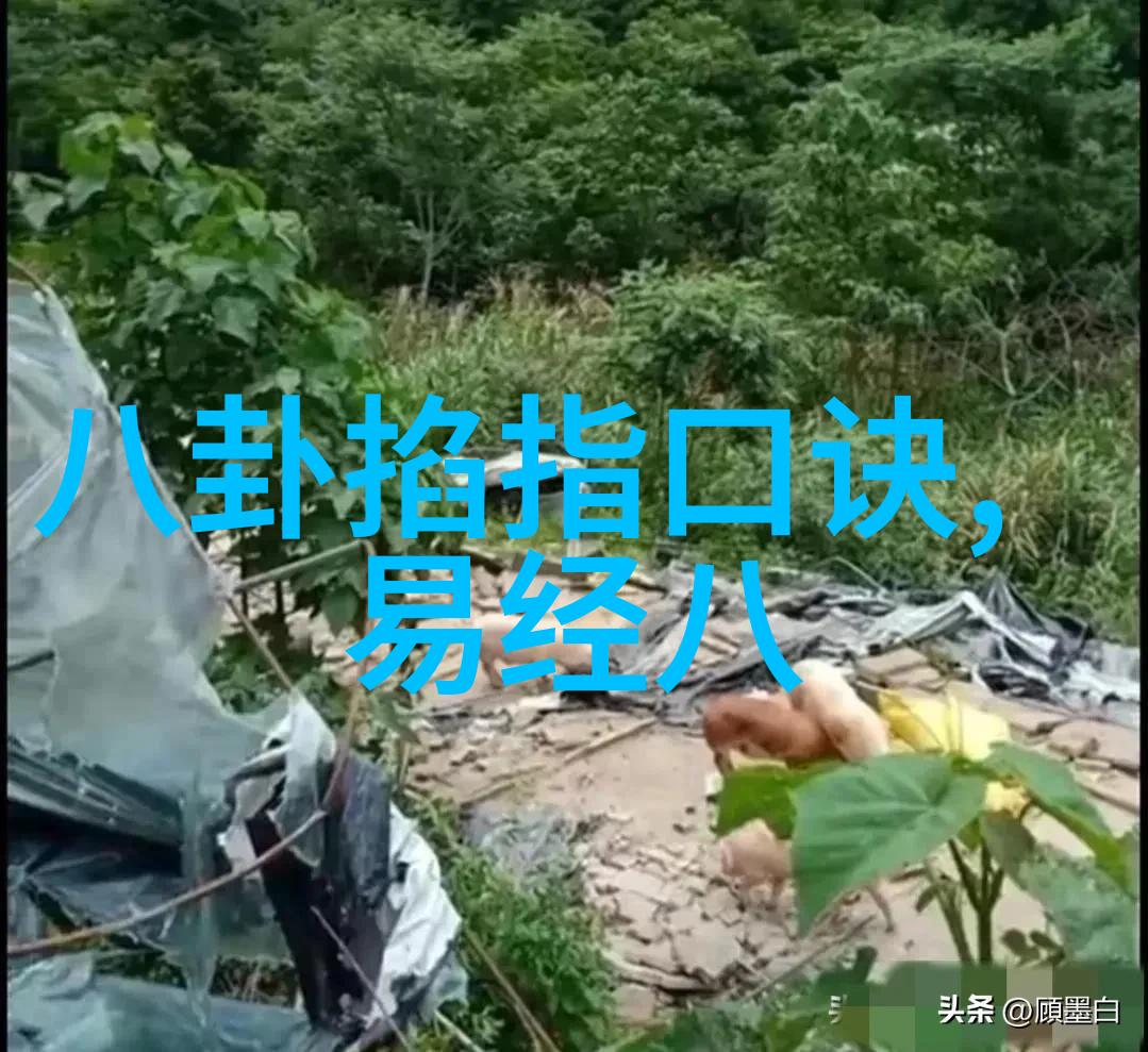 人生现实感悟的句子晒水果亦是生活中的一种排比