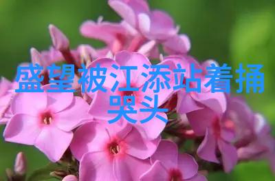 情感与技术的边界-是真的可以把人c哭吗探索社交媒体上情感操控的艺术与伦理