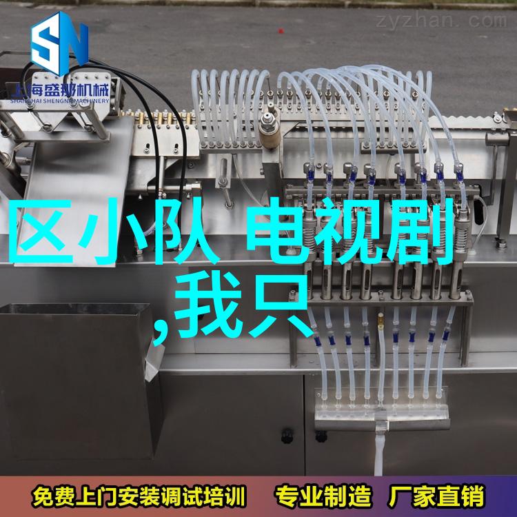 电影中的坚韧解读坚如磐石这一影视主题
