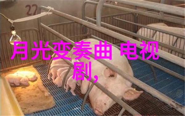 奔跑吧脚男我和我的脚男们的不凡冒险