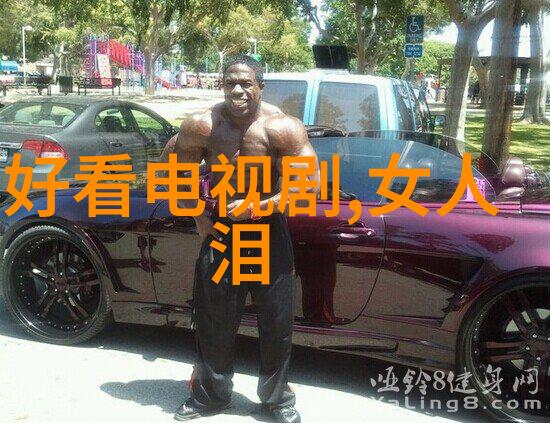 国之自称台湾人的身份与归属