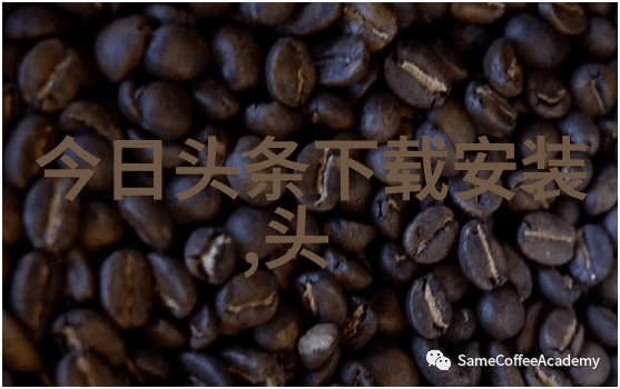 电影之旅的轻松助手茶杯狐CUPFOX的奇迹