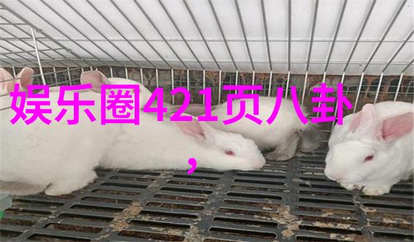 主题我来分享一些超级棒的漂亮图片大全大图哦