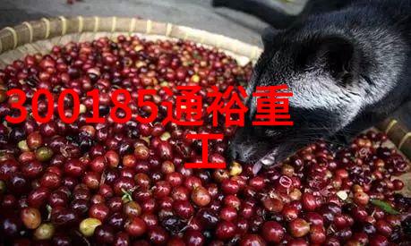 综艺童话-星光闪耀的梦幻舞台揭秘娱乐圈最美丽的奇迹