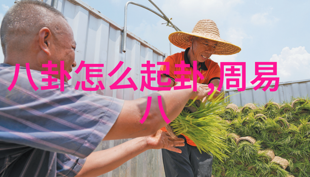 星座运势解析深入了解每个星座的特性和时间段