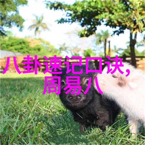 正大综艺探索文化多样性与娱乐生活的新风尚