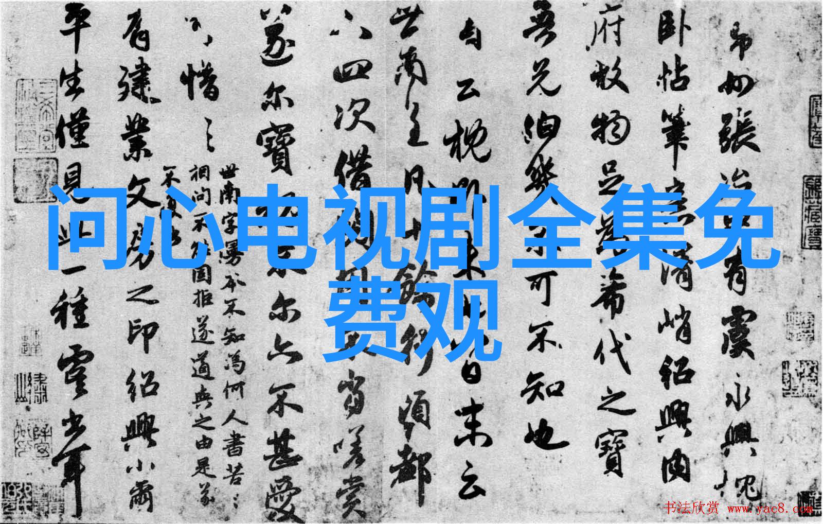 在她的职业生涯中有没有什么难忘的挑战或挫折呢