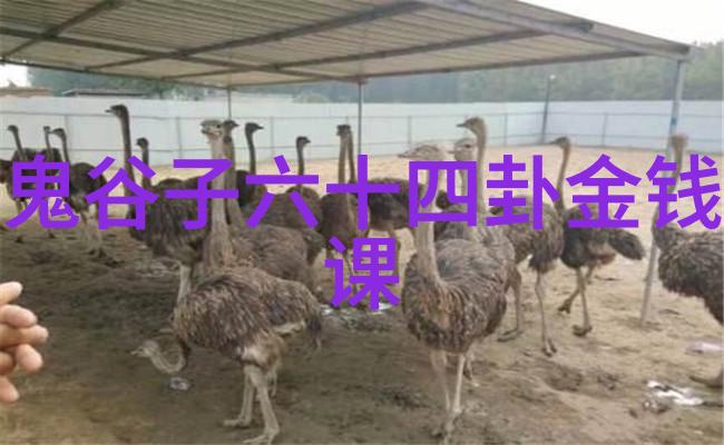 红桃影视幕后花园的秘密舞台