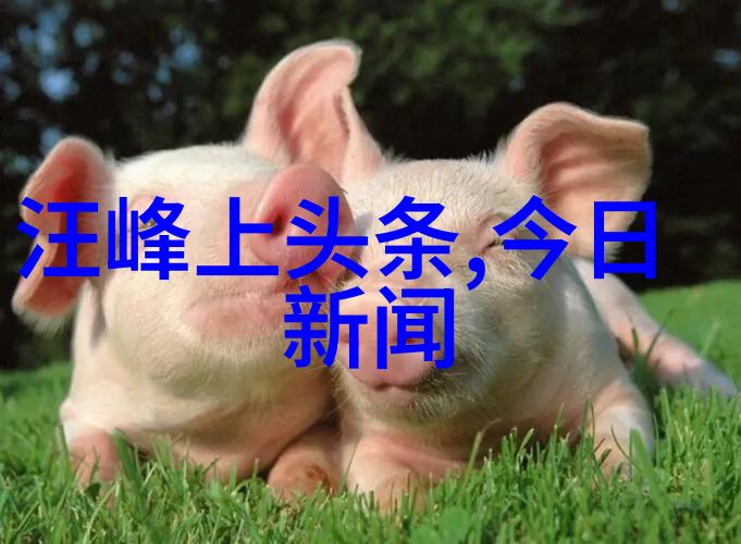 天狼影视我是如何在夜晚的黑暗中遇见它的