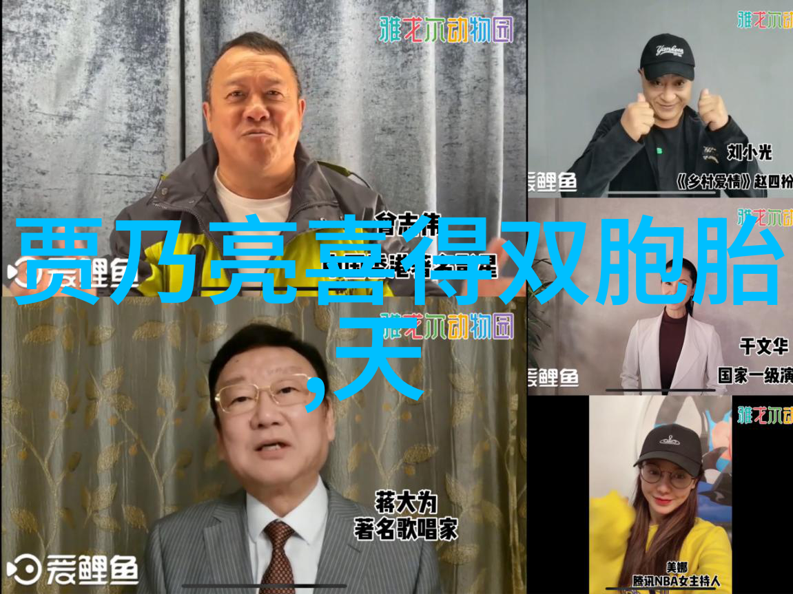 台湾之窗遥望大陆隔阂与梦想的双重奏鸣
