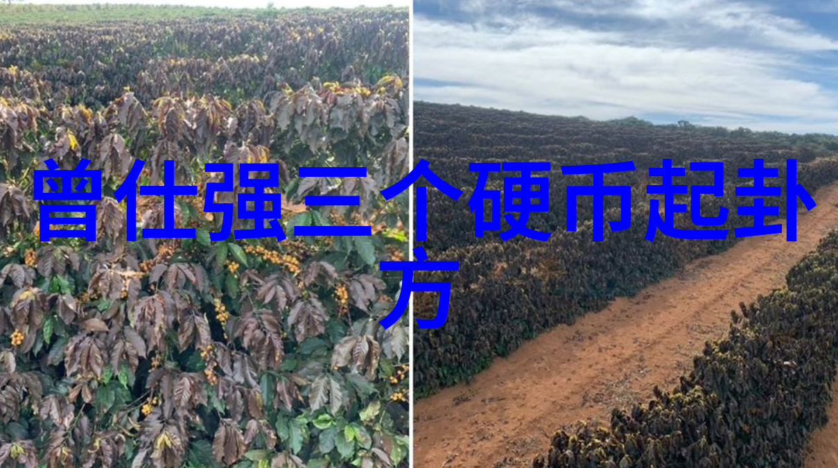 拍摄技巧分享让你的照片更有艺术感