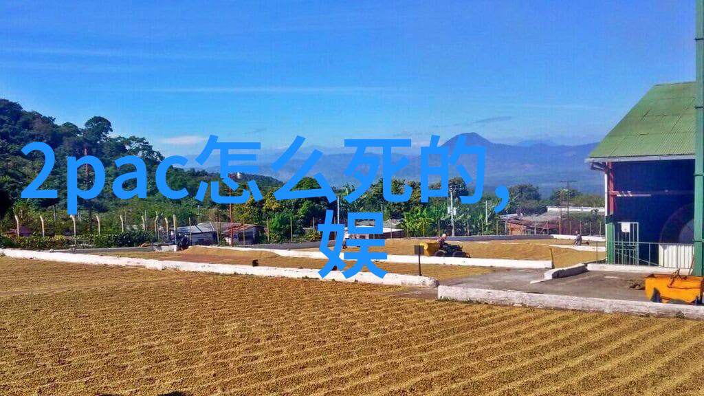 隐晦的信号陈思诚背后的策略
