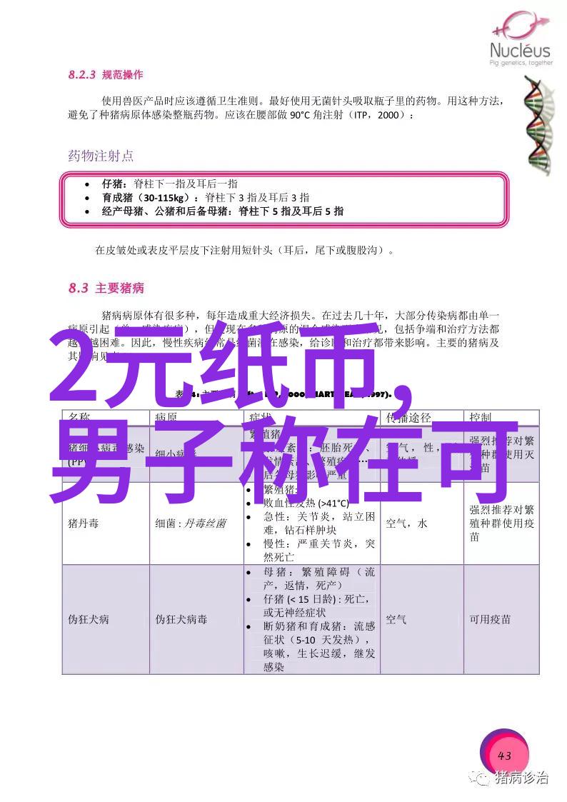 写真拍摄技巧写真摄影技术与创意艺术