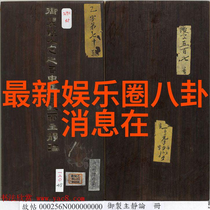 少年团成员青春活力少年团的魅力成员