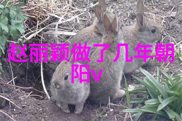 大自然山水图片的审美价值与文化传承