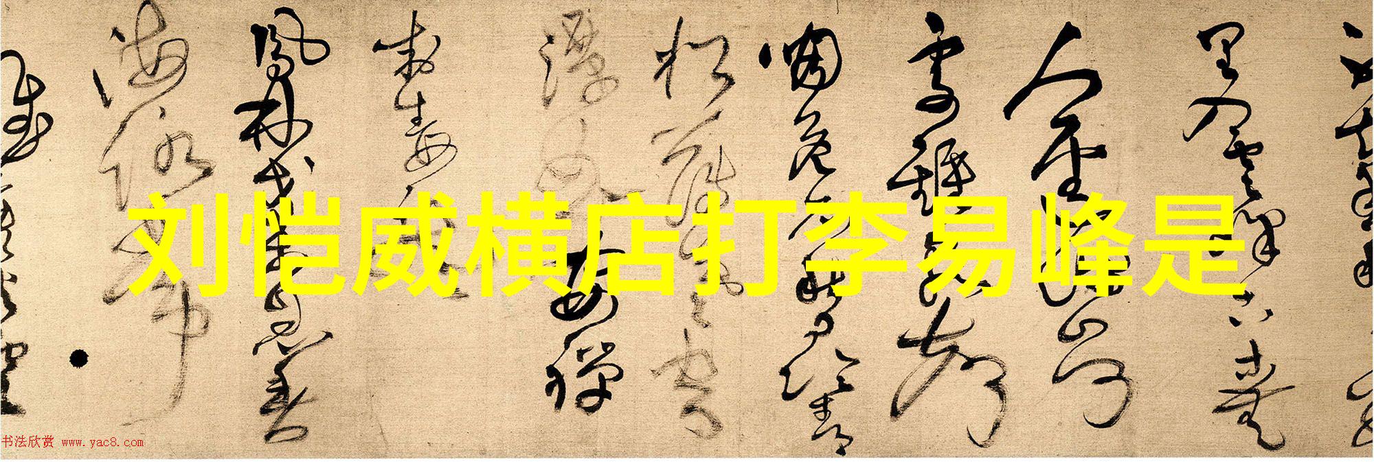 台湾现状探析民主进步与大陆政策的双重考验
