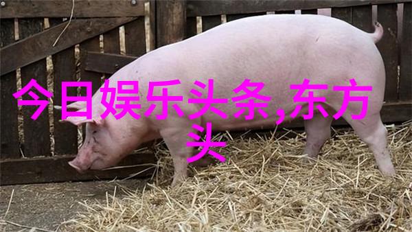 baby黄晓明带你了解星仔生活中的趣事