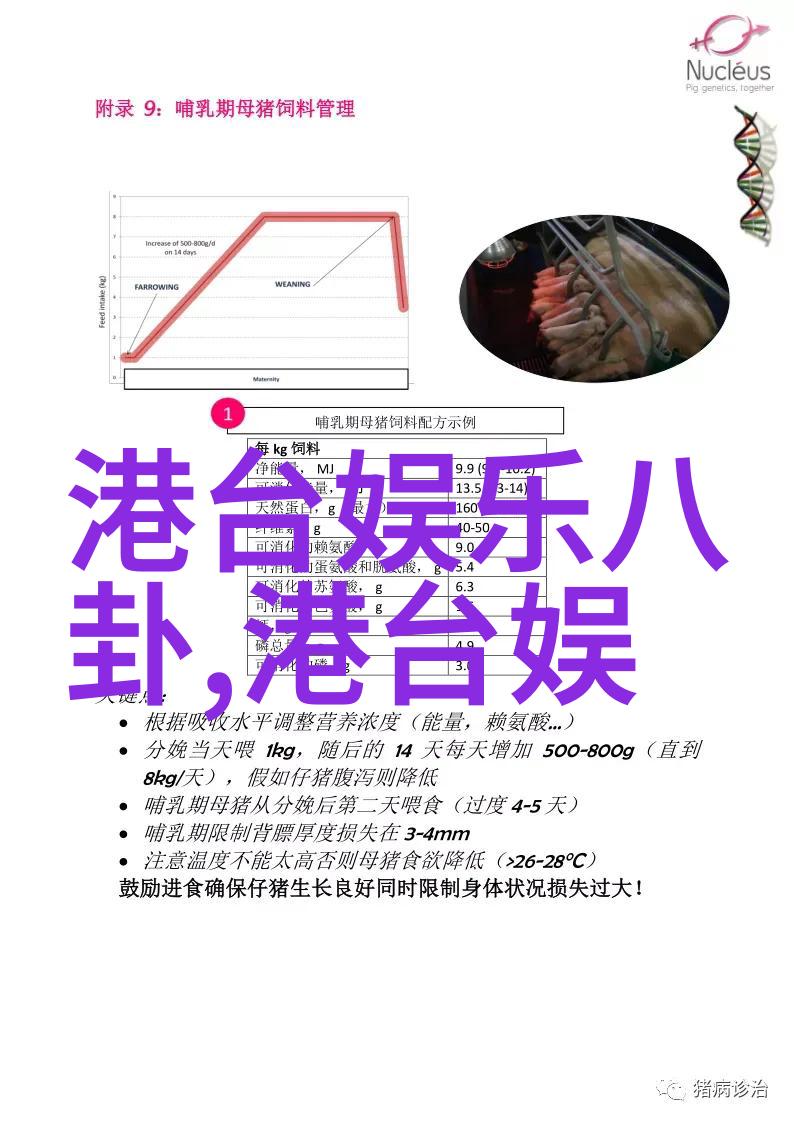 娱乐帝国崛起张新成恋情风波被粉碎经纪公司与女方联合否认