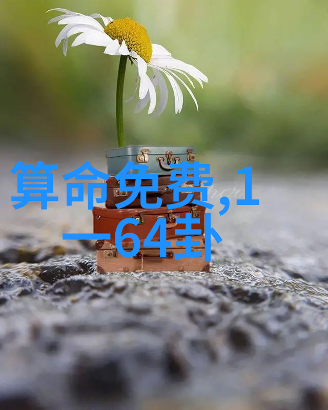 综艺场外借钱-明星隐秘的债务揭开综艺人士借钱背后的真相