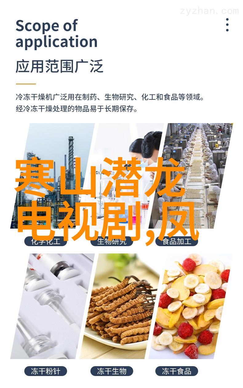 金银瓶1-5-奇遇金银瓶从传说到现实的财富之旅