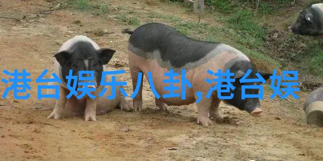 东京街头风情写真捕捉日本城市生活的美好瞬间