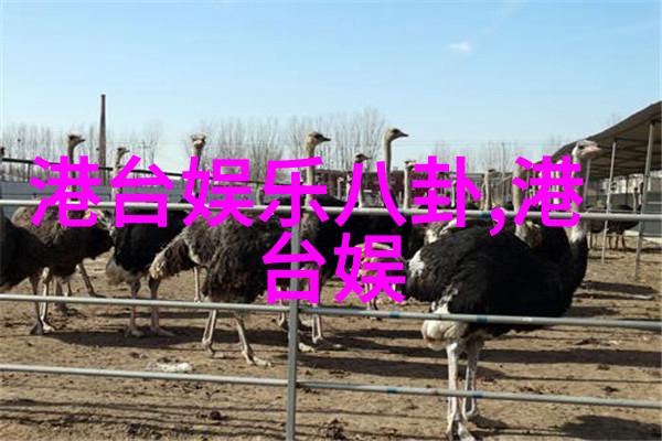 抖音背后的旋律十大热门背景音乐深度解析