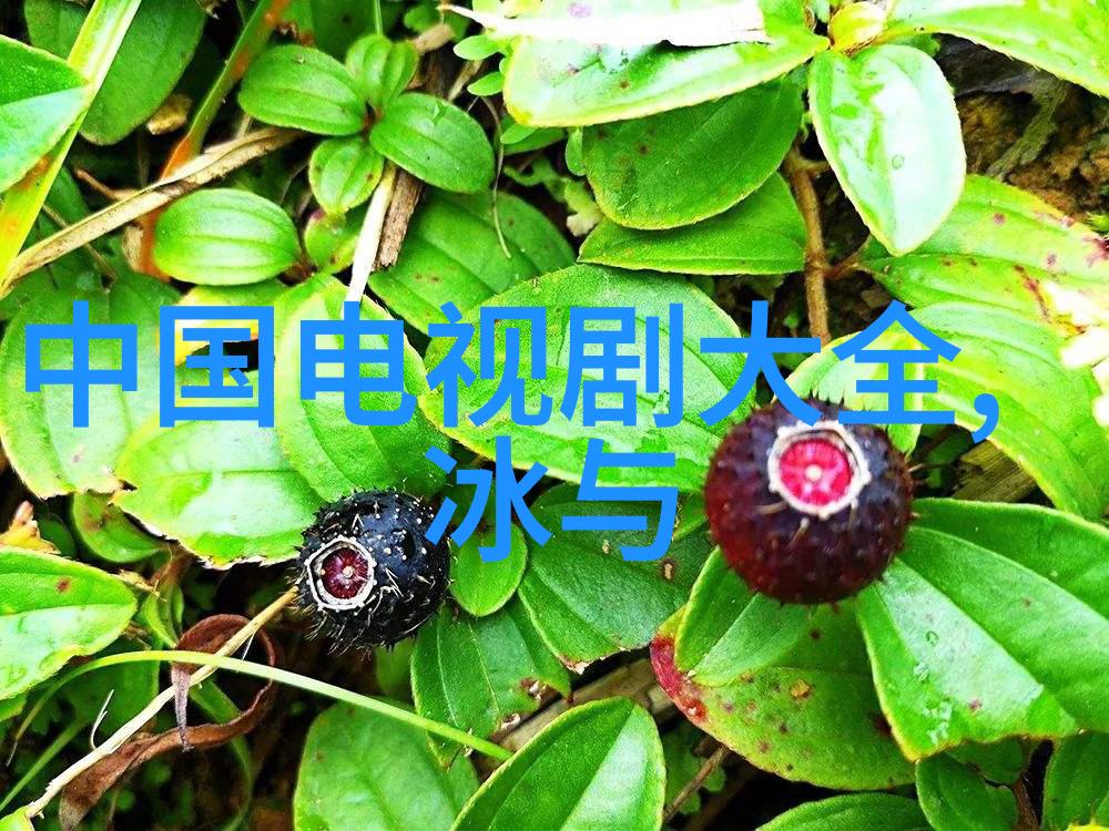 银幕上的奇幻之旅探索最新电影的魔法世界