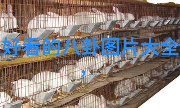 影视盛宴探秘七七影视大全的无价之宝