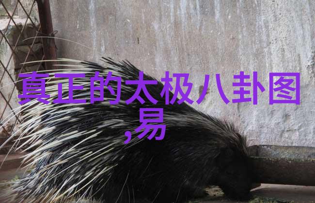 今日头条刘亦城青青子衿完美收官笔墨间勾勒成长之路如同一位才子在文字的画布上绘制自己的成长轨迹