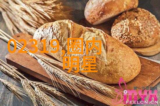 国模燕子翱翔蓝天国模燕子栖息地的守护与挑战