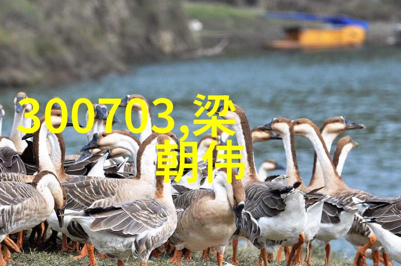 全国最大网红排名揭秘yy雷子个人资料前妻身份曝光公会名为雷霆联盟其物品收藏备受瞩目