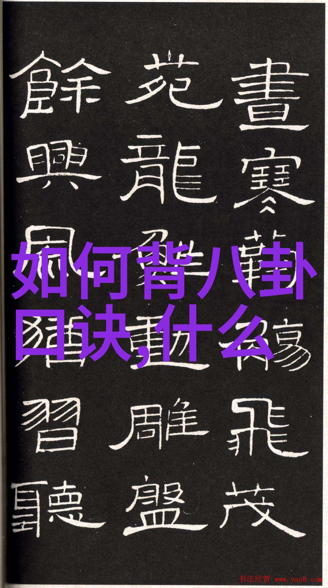 台湾现状探析民主岛屿与国际地缘的双重考量