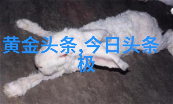 斗破苍穹绝世神话的诞生
