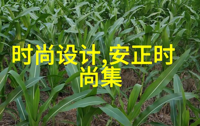 先天八卦图与后天八卦图的本质差异是什么