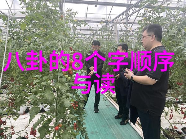 电视剧背景设置探秘古代神话与历史元素