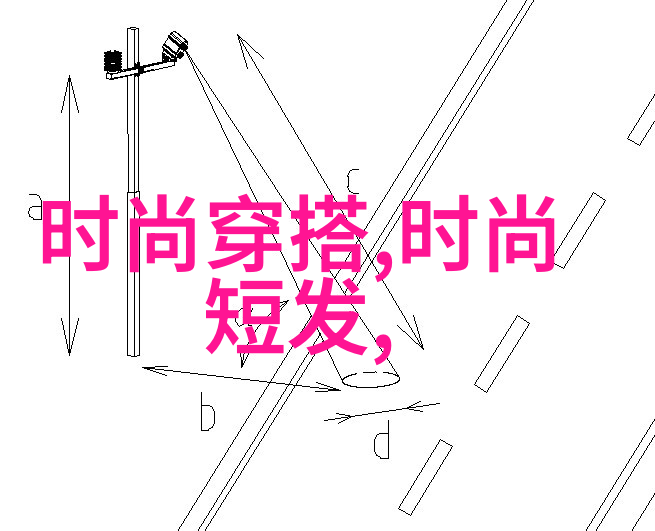满天星的飞行法国空姐的夜空探索