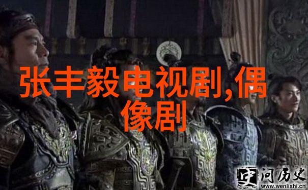 新星闪耀这款最新综艺节目能否让沉默的观众也成为焦点