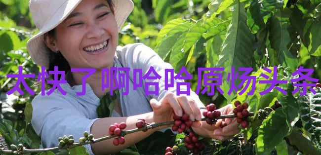 跨平台共享随时随地酷狗music多设备同步使用教程