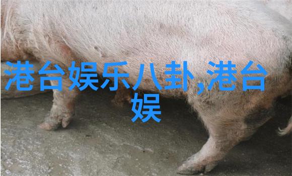 古装迷雾中的情深意长探索电视剧中古代文化的魅力