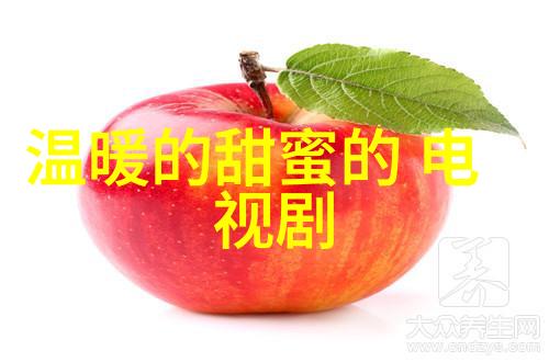 洪武三十二 电视剧我家的明朝大将军
