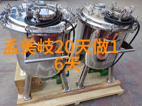 夏日饮品探秘-迈开腿让我看看你的草莓汁解密甜蜜与健康的完美结合