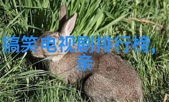 你期待在新西游记综艺中看到哪些精彩瞬间