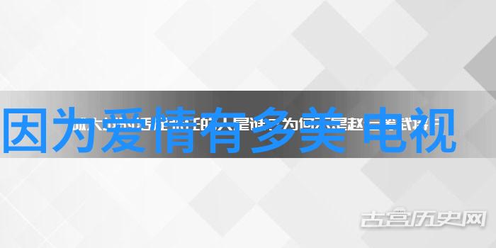 我们应该怎样理解好看这个词在谈论综艺节目的语境中