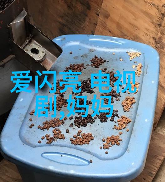 星座查询-12月26日摩羯座的神秘魅力